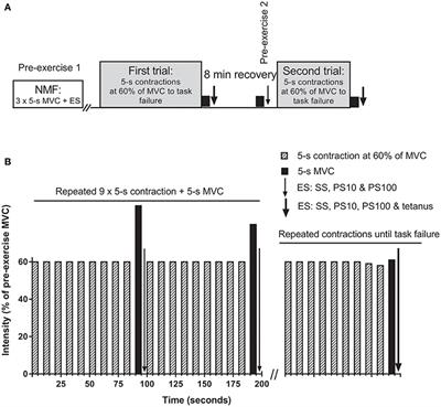 No Critical Peripheral Fatigue Threshold during Intermittent Isometric Time to Task Failure Test with the Knee Extensors